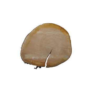 Plaster Czereśni 43x41x4cm