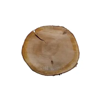 Plaster Czereśni 36x32x3cm