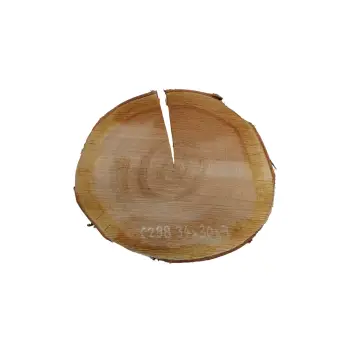 Plaster Czereśni 34x30x3cm