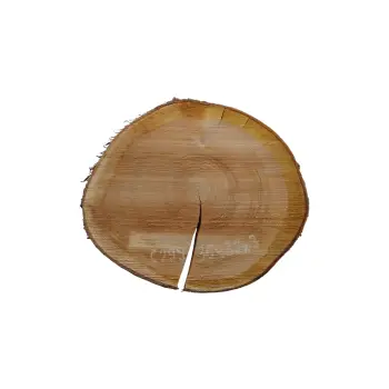 Plaster Czereśni 36x32x3cm