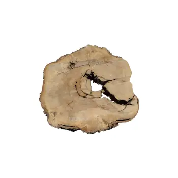 Plaster Kasztanowca 85x83x10cm