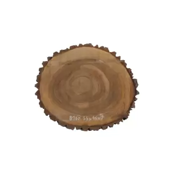 Plaster Orzecha Włoskiego 55x46x7cm