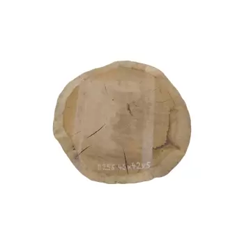 Plaster Dębowy 45x42x5cm Dąb