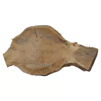 Plaster Dębowy 69x38x5cm Dąb