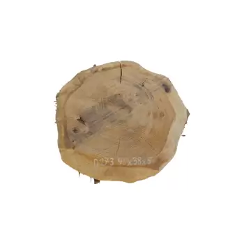 Plaster Dębowy 40x38x5cm Dąb