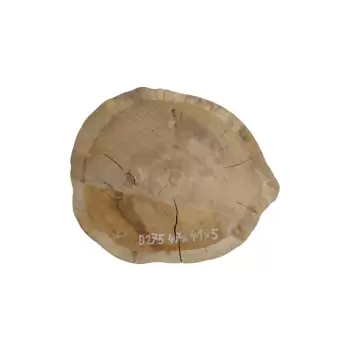 Plaster Dębowy 47x41x5cm Dąb