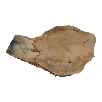 Plaster Dębowy 62x40x5cm Dąb