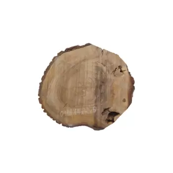 Plaster Orzecha Włoskiego 44x42x6cm