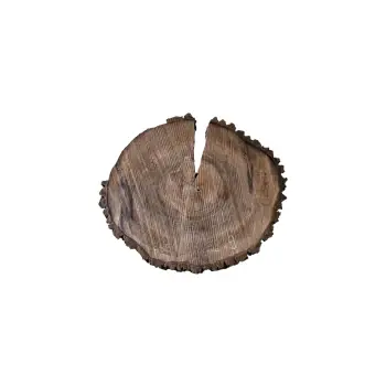 Plaster Orzecha Włoskiego po Suszarni 67x58x9cm