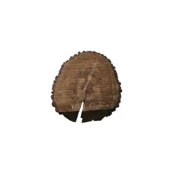 Plaster Orzecha Włoskiego po Suszarni 61x60x7cm