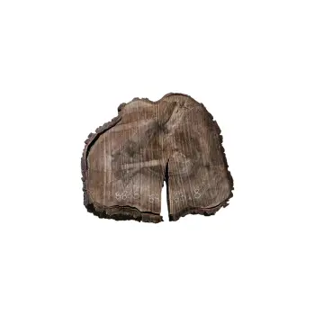 Plaster Orzecha Włoskiego po Suszarni 68x63x8cm