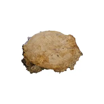 Plaster Topoli z Czeczotą 100x69x9cm