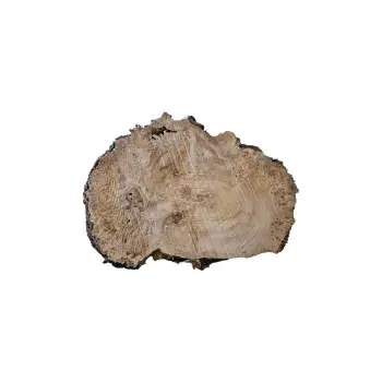 Plaster Topoli z Czeczotą 96x67x8cm