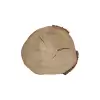 Plaster Wiązu 57x51x8cm