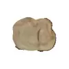 Plaster Wiązu 61x48x7cm