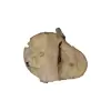 Plaster Jawora 64x50x7,5cm