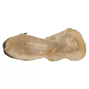 Plaster Orzecha Włoskiego 106x46/35x9,5cm