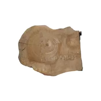 Plaster Orzecha Włoskiego 46x37x7,5-8,5cm