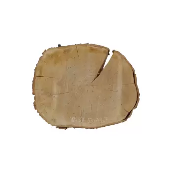 Plaster Czereśni 53x43x7cm