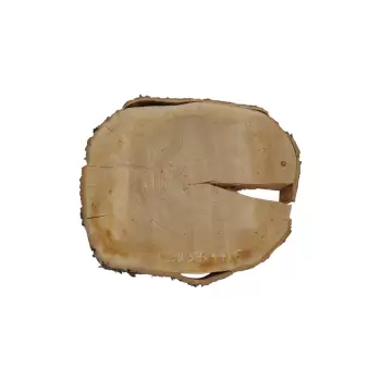 Plaster Czereśni 53x44x6cm