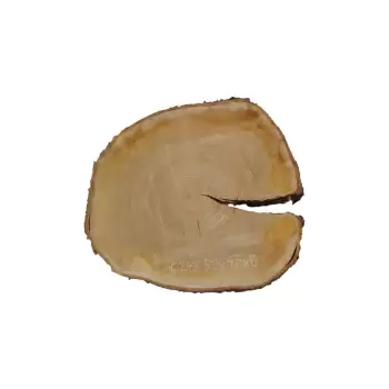 Plaster Czereśni 52x47x6cm