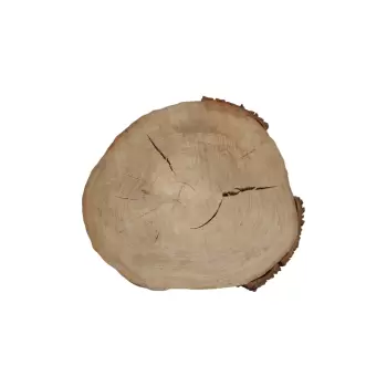 Plaster Wiązu 57x51x8cm