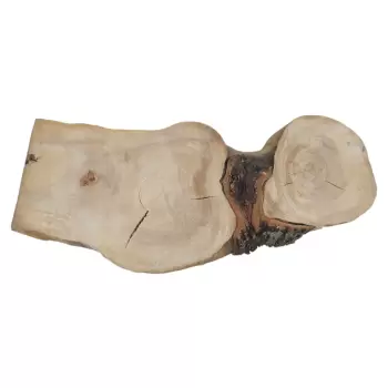 Plaster Wiązu 98x41x8cm