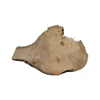 Plaster Jawora 70x50x8cm