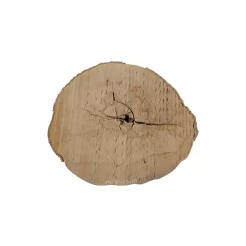 Plaster Jawora 95x85x10cm