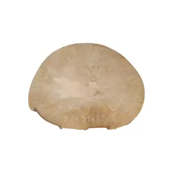 Plaster Jawora 41x32x5cm