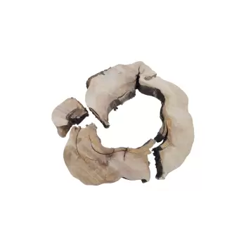 Plaster Kasztanowca w Kawałkach 93x90x10cm