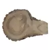 Plaster Orzecha Włoskiego 59x40x8cm