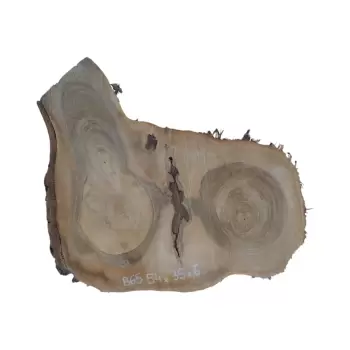 Plaster Orzecha Włoskiego 54x35x6cm