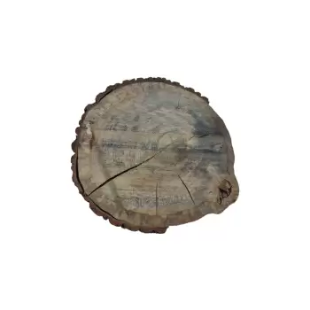 Plaster Dębowy 48x47x6cm Dąb