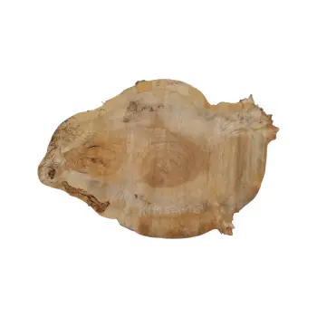 Plaster Kasztanowca 56x41x7cm