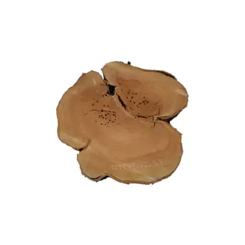 Plaster Czereśni 66x62x8,5cm