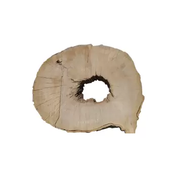Plaster Jawora 88x75x9cm