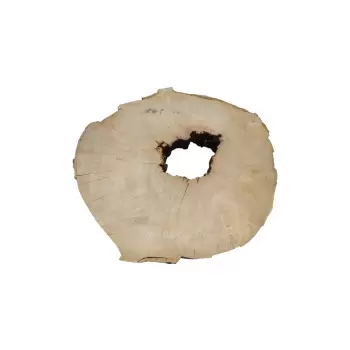 Plaster Jawora 85x75x10cm