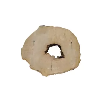 Plaster Jawora 85x75x10cm