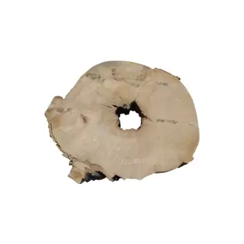 Plaster Jawora 89x75x10cm