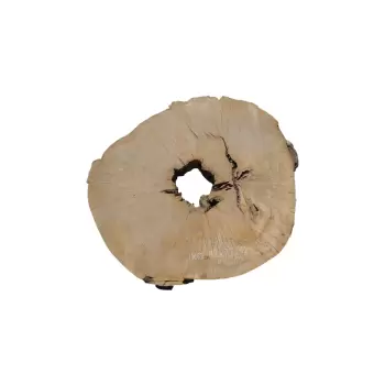 Plaster Jawora 82x75x10cm