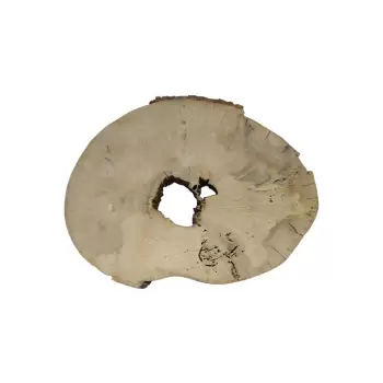 Plaster Jawora 71x52x8cm