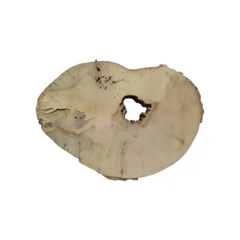 Plaster Jawora 76x50x8cm