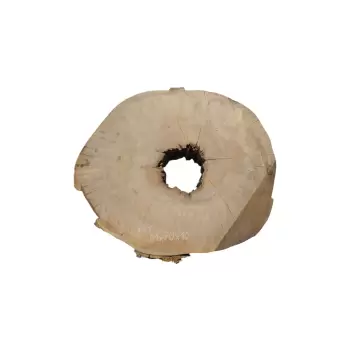 Plaster Jawora 81x70x10cm