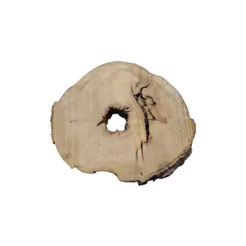 Plaster Jawora 85x74x10cm