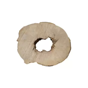 Plaster Jawora 89x76x9cm
