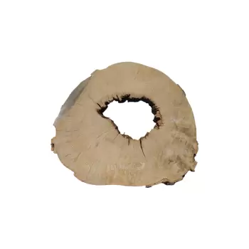 Plaster Jawora 88x80x7cm