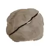 Plaster Jesionowy po Suszarni 85x79x9cm w Dwóch Kawałkach