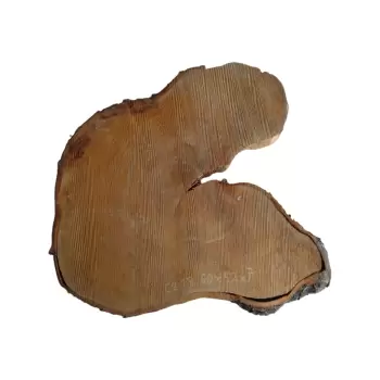 Plaster Czereśni po Suszarni 60x52x7cm