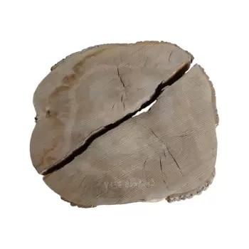 Plaster Jesionowy po Suszarni 85x79x9cm w Dwóch Kawałkach